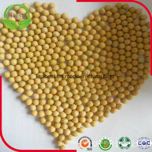 High Protein Soybeans for Soy Milk